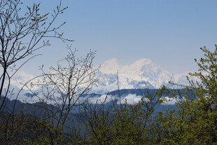 山林间远眺雪山美景