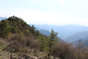 山间景色 远眺连绵山脉