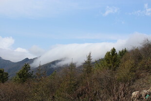 山间云雾缭绕的秀丽景致