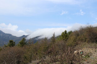 山间云雾缭绕的秀丽景致