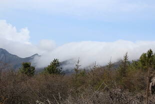 山间云雾缭绕的自然景致
