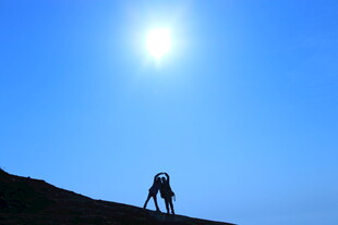 山顶剪影 逆光下的攀登者