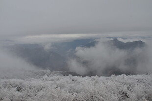 雾凇覆盖的山间云雾景观