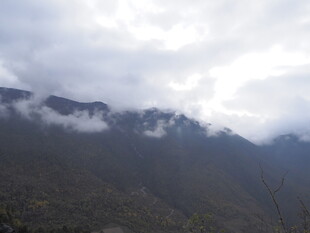 云雾缭绕的山峦美景