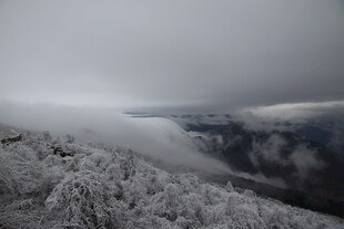 雪山云海壮丽景观