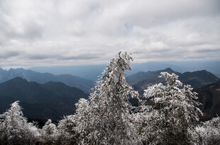 雪覆山峦 枝头银装素裹