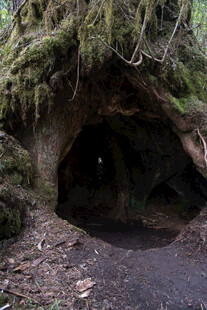 神秘洞穴入口 苔藓覆盖