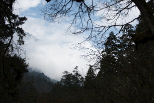 山林云海间的自然景致