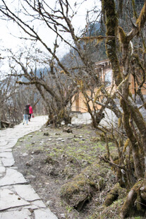 山间石板小径 行人漫步