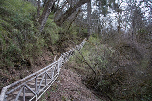 山间蜿蜒的金属步道