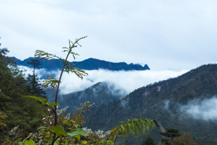 山间云雾缭绕的秀丽景致