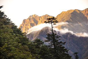 山间晨景 云绕峰林之巅