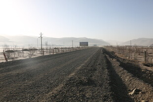 空旷田野间的道路
