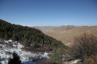 山间雪景 冬日自然美景