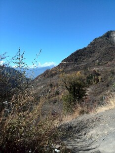 山间小道旁的自然景致