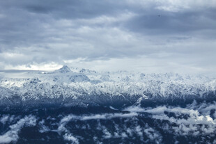 雪山下的广袤森林景观