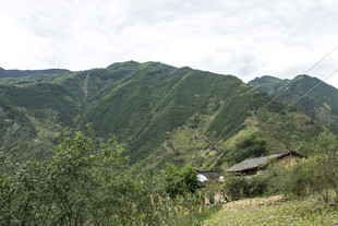 山间村落景色