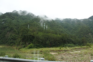 山林景观 绿意盎然的自然