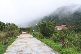 山间雾中乡村小道风景