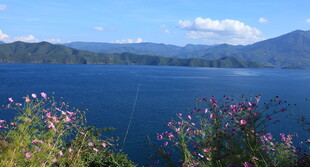 湖畔繁花伴远山美景