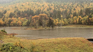 秋日湖畔山林美景