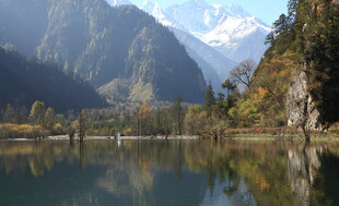 山水相依的静谧湖景