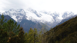 雪山下的葱郁山林
