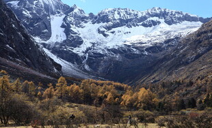 秋日雪山下的斑斓山林