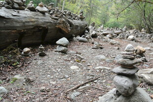 林间石堆景观