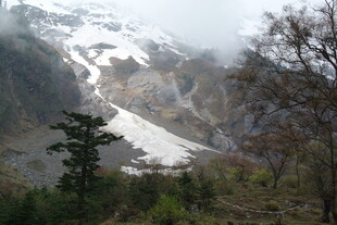 雪山森林景观