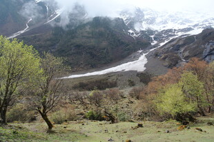 山间春景 雪与植被相映