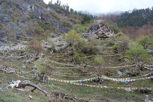 山间梯田与经幡景观