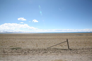 空旷原野中的倾斜木杆
