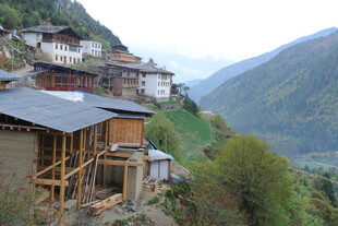 山间木屋村落 自然美景
