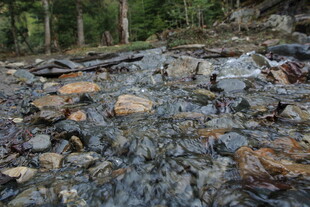 山间溪流中的多彩石块