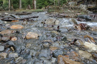 山间溪流穿石而过