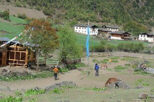 乡村户外徒步场景