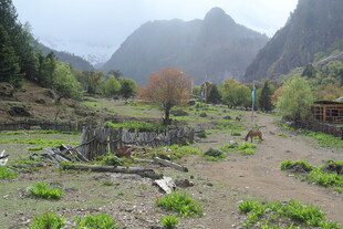 山间荒野中的古朴景象