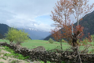 山间田园风光美景