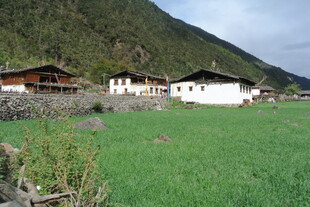 田园山村美景