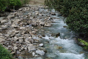 山间溪流潺潺 碎石相伴