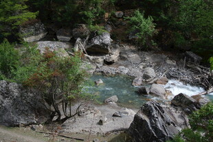 山间溪流与繁茂绿植景观