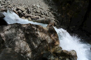 山间奔流的湍急溪流