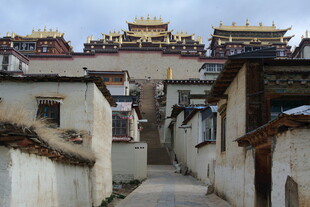 西藏小巷中的古朴建筑