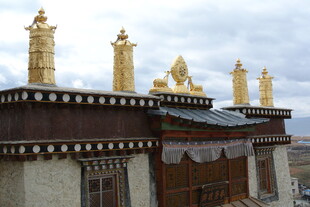 藏式建筑屋顶特写