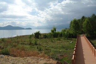 湖畔木栈道风光