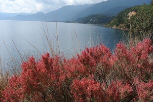 湖畔红植与远山美景