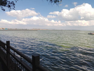 湖畔木栏处 悠然赏水景