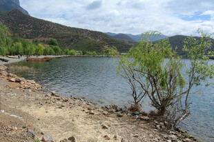 湖畔风光 岸边绿植与远山
