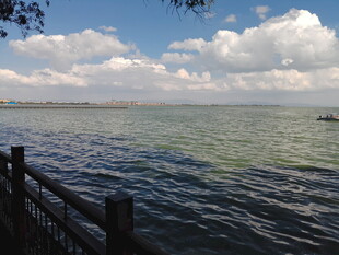 湖畔木栏 辽阔水域与蓝天